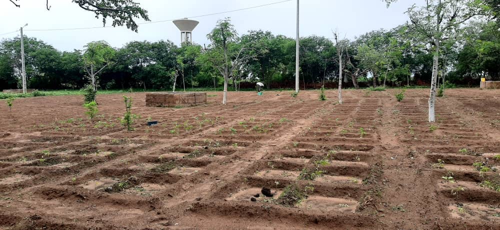 Agriculture paysanne