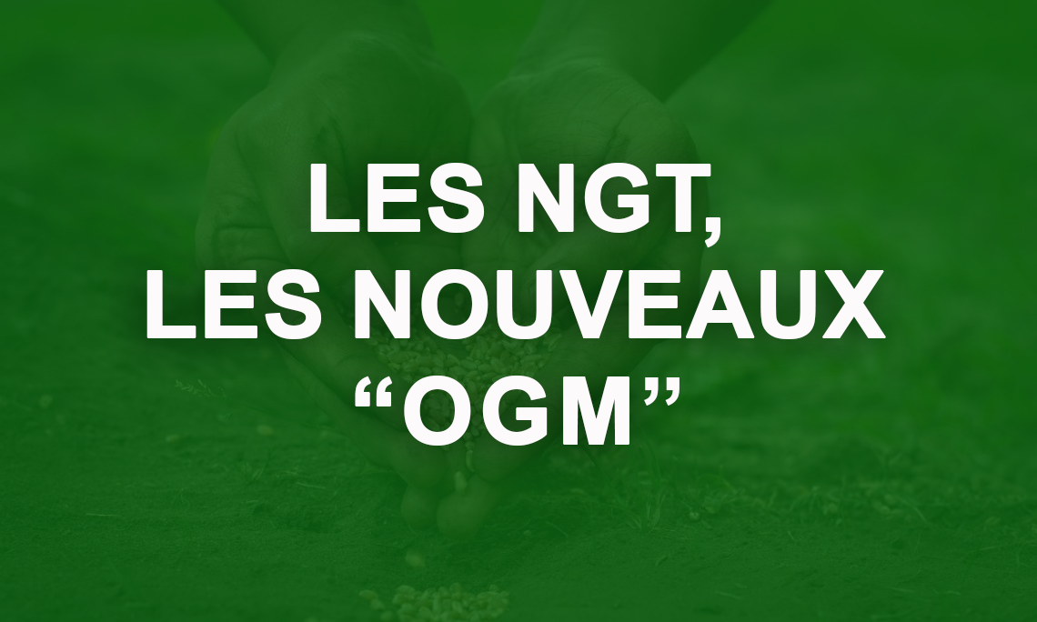 les NGT, le nouveau mot clé pour les OGM