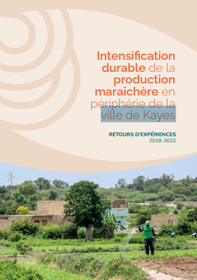 Publication : Document de capitalisation sur l'intensification agro-écologique du maraîchage à Kayes (Mali)